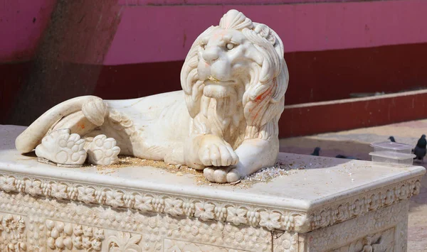 Bikaner Rajasthan India 2023 Statue Marbre Lion Temple Des Rats — Photo