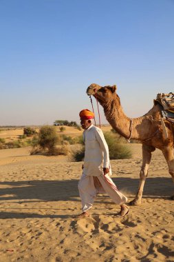 THAR RAJASTHAN INDIA - 02 13 2023: Thar çölünün kum tepelerinde develeri olan Hint deve sürücüsü. Jaisalmer, Rajasthan, Hindistan