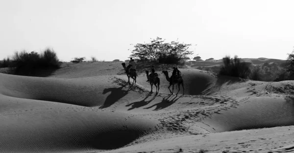Teve Lovaglás Thar Sivatagban Jaisalmerben Indiában Thar Sivatag Egy Nagy — Stock Fotó