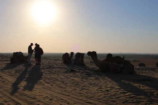 Zachód Słońca Pustyni Thar Rajasthan Indie — Zdjęcie stockowe