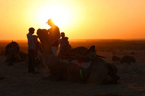 インドの砂漠で日没時にラクダを持つ人々 — ストック写真