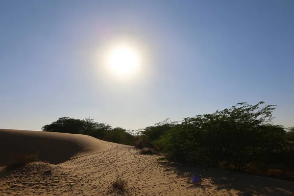 Abend Der Thar Wüste Rajasthan Indien — Stockfoto
