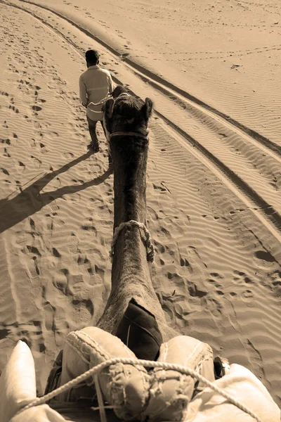 Верблюд Лицо Время Ожидания Туристов Верблюжьей Езды Пустыне Тар Раджастан — стоковое фото
