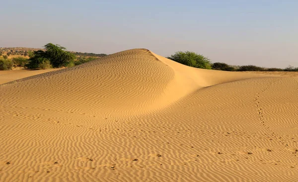 Avond Thar Woestijn Rajasthan India — Stockfoto