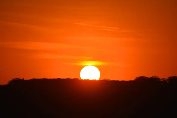 stock image Thar desert at sunset in Jaisalmer, Rajasthan, India