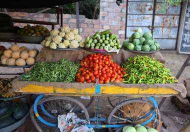JODHPUR RAJASTHAN INDIA - 02 13 2023: Jodhpur, Hindistan 'da sokak satıcısı. Jodhpur, Rajasthan eyaletinin ikinci büyük şehridir..