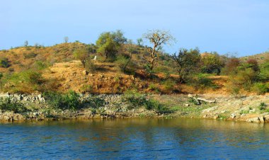 Jodhpur yakınlarında Hindistan 'da Rajasthan manzarası