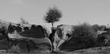 Hindistan 'ın Rajasthan Çölü, Hindistan' ın bölge ve nüfus bakımından en büyük yedinci eyaletidir..