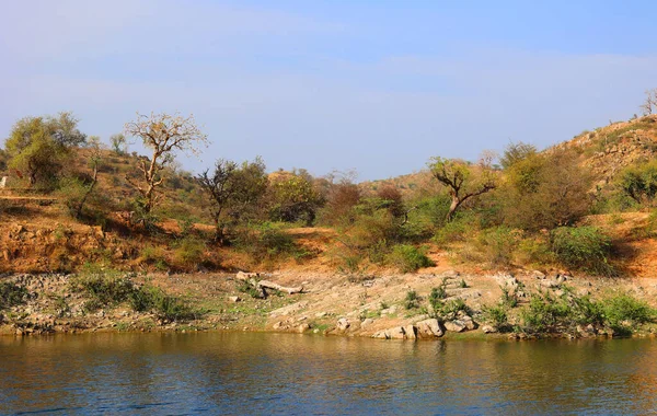 Rajasthan Krajobraz Indiach Pobliżu Jodhpur — Zdjęcie stockowe