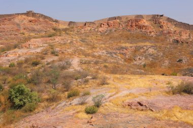 Jodhpur yakınlarında Hindistan 'da Rajasthan manzarası 