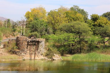 RURAL RAJASTHAN INDIA - 02: 15 2023: bu su organik tarım için ekinleri ya da içme suyunu sulamak için kuyudan getiriliyor