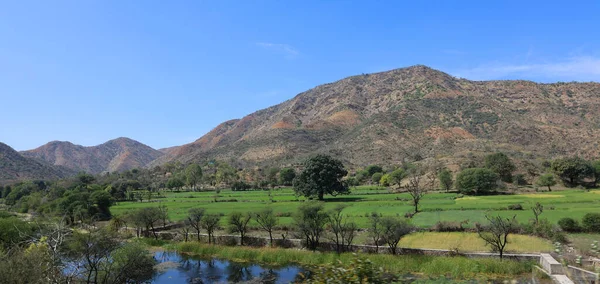 Rajasthan Landschaft Indien Nahe Jodhpur — Stockfoto