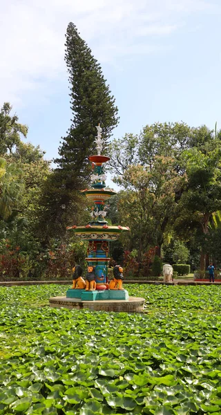 Udaipur Rajasthan Indien 2023 Saheliyon Bari Hof Oder Garten Der — Stockfoto