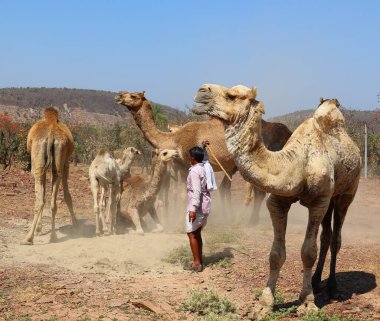 RURAL RAJASTHAN INDIA - 02 16 2023: Hintli adam bebeklerine ve annelerine iyi bak.
