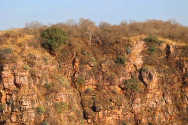 Su deposunun yakınındaki sarp kayalıklarda yeşil çalılar ve sulular yetişiyor. Katmanlı yapısı olan kırmızı yamaçlar. Mavi gökyüzü. Hindistan. Ranthambore Ulusal Parkı