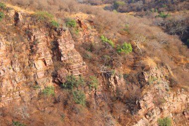 Su deposunun yakınındaki sarp kayalıklarda yeşil çalılar ve sulular yetişiyor. Katmanlı yapısı olan kırmızı yamaçlar. Mavi gökyüzü. Hindistan. Ranthambore Ulusal Parkı