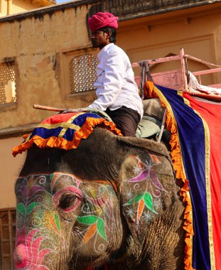 AMBER RAJASTHAN INDIA - 02 27 2023: Amer Fort veya Amber Fort. Madalyalı fil ve fil binicisi turist bekliyor. 