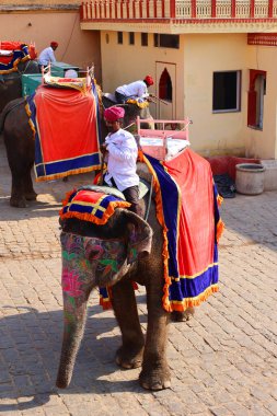 AMBER RAJASTHAN INDIA - 02 27 2023: Amer Fort veya Amber Fort. Madalyalı filler ve turist bekleyen fil binicileri.