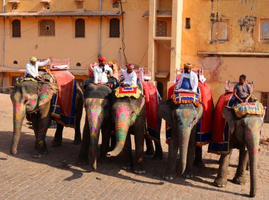 AMBER RAJASTHAN INDIA - 02 27 2023: Amer Fort veya Amber Fort. Madalyalı filler ve turist bekleyen fil binicileri.