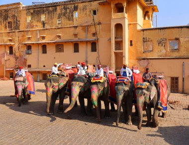 AMBER RAJASTHAN INDIA - 02 27 2023: Amer Fort veya Amber Fort. Madalyalı filler ve turist bekleyen fil binicileri.