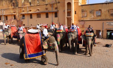 AMBER RAJASTHAN INDIA - 02 27 2023: Amer Fort veya Amber Fort. Madalyalı filler ve turist bekleyen fil binicileri.