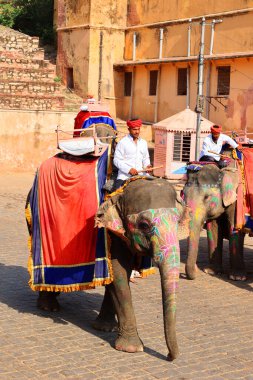 AMBER RAJASTHAN INDIA - 02 27 2023: Amer Fort veya Amber Fort. Madalyalı filler ve turist bekleyen fil binicileri.