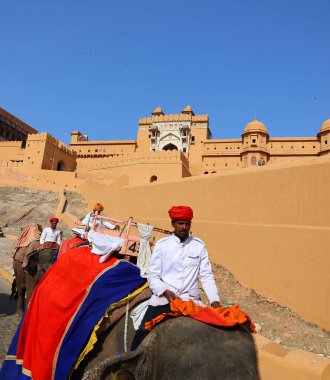 AMBER RAJASTHAN INDIA - 02 27 2023: Amer Fort veya Amber Fort. Madalyalı filler ve turist bekleyen fil binicileri.