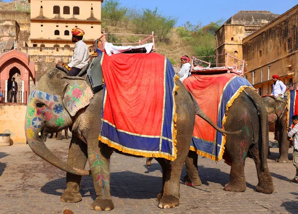 AMBER RAJASTHAN INDIA - 02 27 2023: Amer Fort veya Amber Fort. Madalyalı filler ve turist bekleyen fil binicileri.
