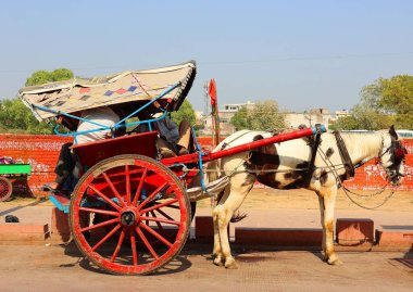 AGRA UTTAR PRADESH INDIA - 03 01 2023: Geleneksel at arabaları veya tangalar Güney Asya 'da yaygın bir ulaşım biçimidir. Tangalar genellikle renkli ponponlarla parlak renklerle süslenirler.