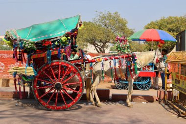 AGRA UTTAR PRADESH INDIA - 03 01 2023: Geleneksel at arabaları veya tangalar Güney Asya 'da yaygın bir ulaşım biçimidir. Tangalar genellikle renkli ponponlarla parlak renklerle süslenirler.