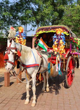 AGRA UTTAR PRADESH INDIA - 03 01 2023: Geleneksel at arabaları veya tangalar Güney Asya 'da yaygın bir ulaşım biçimidir. Tangalar genellikle renkli ponponlarla parlak renklerle süslenirler.