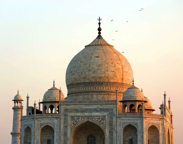 Taj Mahal Uttar Pradesh India 2023 日落时的泰姬陵是亚穆纳河右岸的一座象牙白色大理石陵墓 — 图库照片
