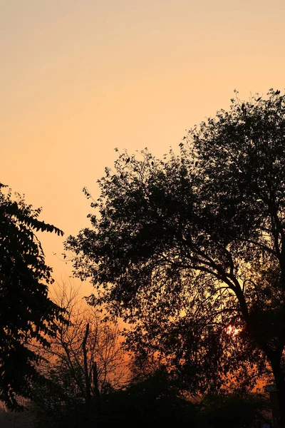 stock image Sunset over the forest Agra. Uttar Pradesh. India.