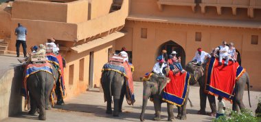 AMBER RAJASTHAN INDIA - 02 27 2023: Amer Fort veya Amber Fort. Madalyalı filler ve turist bekleyen fil binicileri.