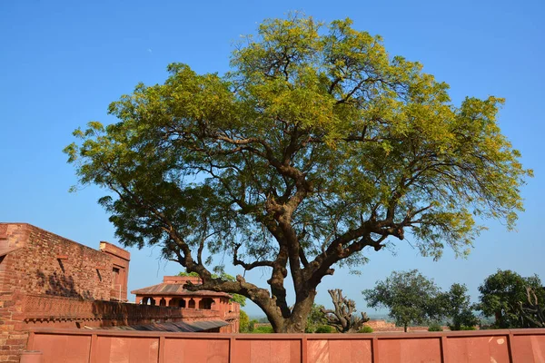 Fatehpur Sikri India 2023 Fatehpur Sikri Місто Районі Агра Прадеш — стокове фото