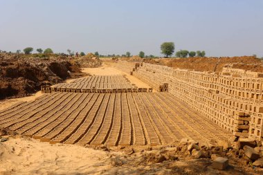 UTTAR PRADESH INDIA - 03 01 2023: Ham tuğla kurutmak için istiflenmiş. Tuğla fabrikasında tuğlalar. Hindistan 'da geleneksel kil tuğla üretimi.
