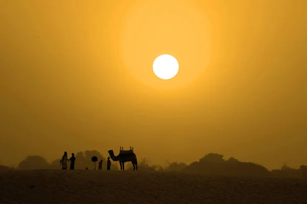 印度瓦拉纳西附近恒河东岸日出时分的人和骆驼的轮廓 — 图库照片