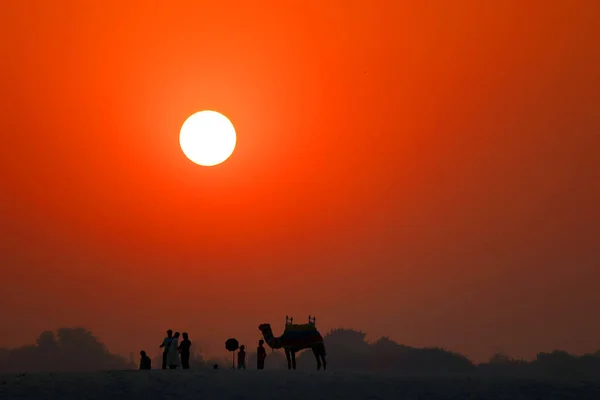 바라나시 근처에 갠지스강 강둑에서 사람들 낙타의 실루엣 — 스톡 사진