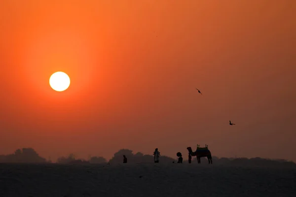 Silhouette Personnes Chameau Lever Soleil Sur Rive Orientale Gange Près — Photo