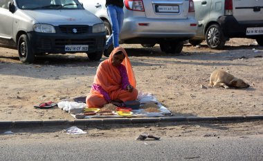 RURAL RAJASTHAN INDIA - 03 01 2023: Yol pazarında fıstık ve fıstık satan kadın