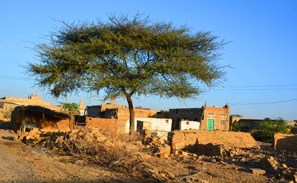 TARI JAISALMER RAJASTHAN Hindistan - 02 13 2023: Thar Çölü Rajasthan Hindistan 'da geleneksel evleri olan küçük bir köy