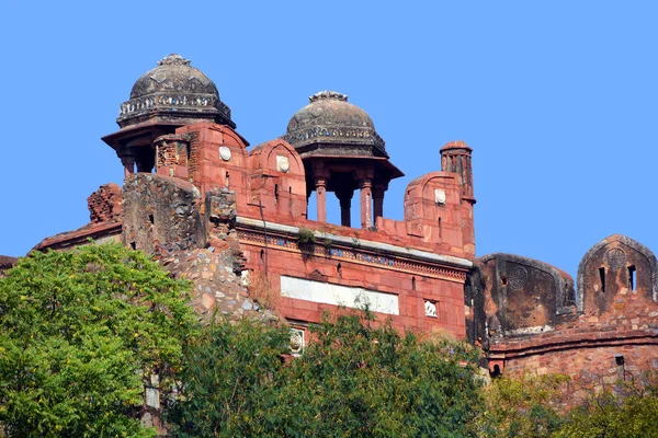 Delhi India 2023 Het Oude Fort Bij Dierentuin Nationaal Zoölogisch — Stockfoto