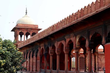 Hindistan 'daki güzel tarihi saray