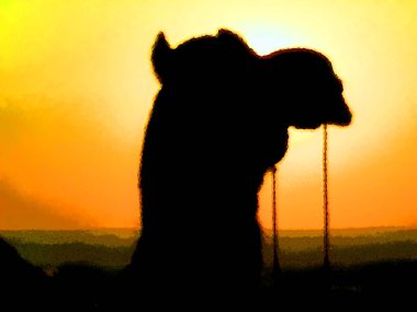 Thar, Jaisalmer, Rajasthan, Hindistan çöllerinde deve çizimi