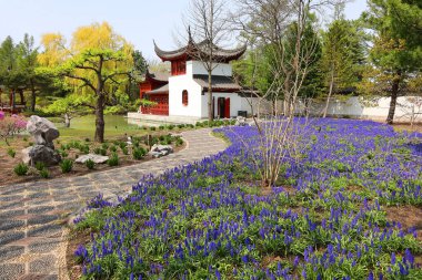 MONTREAL CANADA - 05 09 2023: Montreal botanik bahçesinin Çin bahçesi koleksiyonlarının büyüklüğü nedeniyle dünyanın en önemli botanik bahçelerinden biri olarak kabul ediliyor