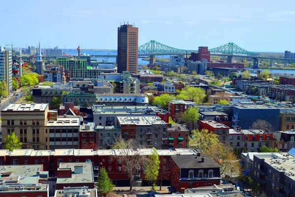 Montreal Canada 2023 몬트리올 시내의 보이는 몬트리올 Montreal 캐나다 퀘벡주 — 스톡 사진