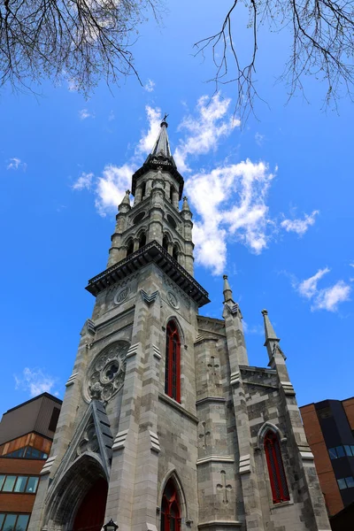 Монреаль Quebec Canada Колокольня Сент Жак Собор Римско Католический Собор — стоковое фото