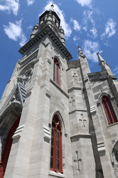 Montreal Quebec Canada Cattedrale Saint Jacques Stata Cattedrale Cattolica Romana — Foto Stock