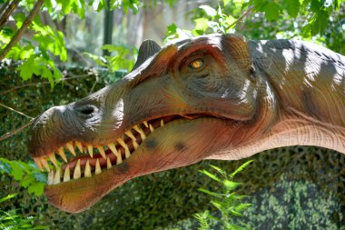 Granby QUEBEC CANADA - 05: 12: Spinosaurus omurga kertenkelesi, Cenomen döneminde yaşamış bir spinosaurid dinozor cinsidir.