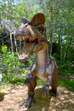 Granby QUEBEC CANADA - 05 12 2017: Dilophosaurus, erken dönem Jurasik döneminde Kuzey Amerika 'da yaşamış olan bir Theropod dinozor cinsidir.
